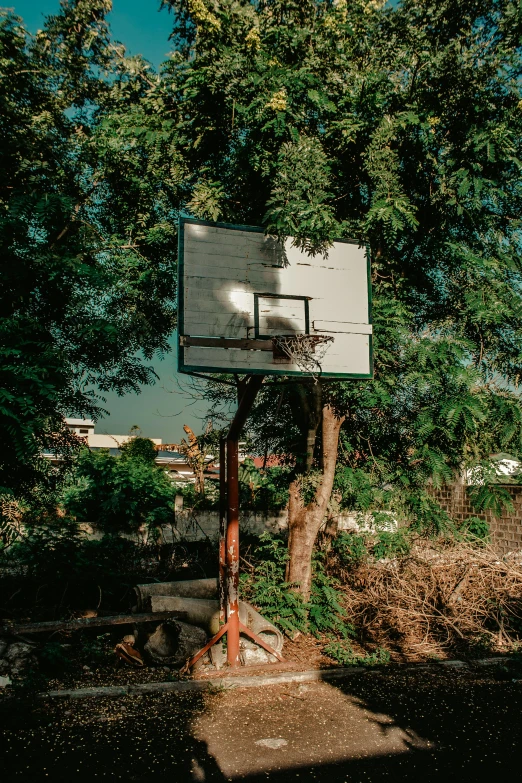 a basketball hoop sitting on the side of a road, an album cover, by Elsa Bleda, realism, back yard, chengwei pan, a wooden, signed