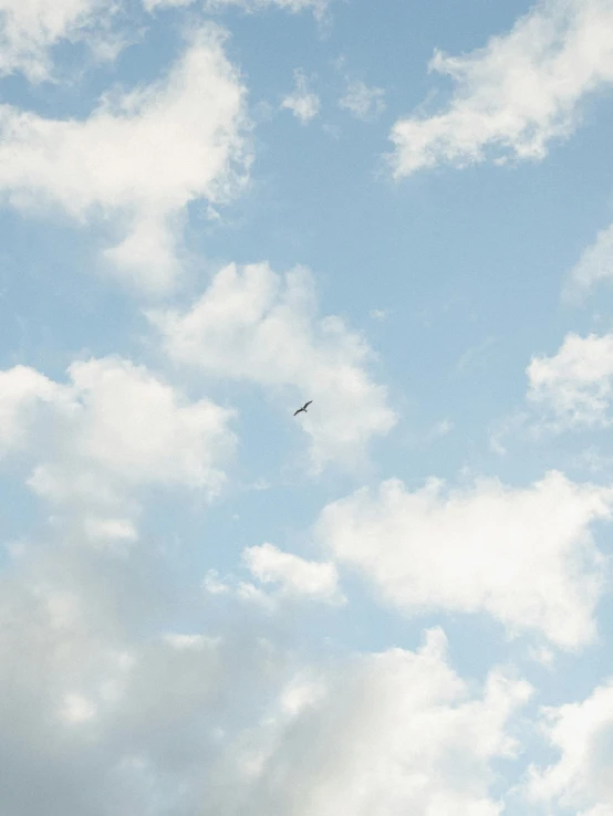 a plane flying through a cloudy blue sky, by Carey Morris, minimalism, trending on vsco, multiple stories, bird sight, 8 k photo