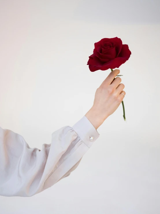 a person in a white shirt holding a red rose, an album cover, inspired by Marina Abramović, trending on unsplash, pale porcelain white skin, profile image, raised hand, porcelain skin ”