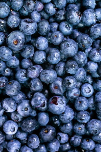 a close up of a bunch of blueberries, by Dan Scott, 2 5 6 x 2 5 6 pixels, slide show, navy, trending on