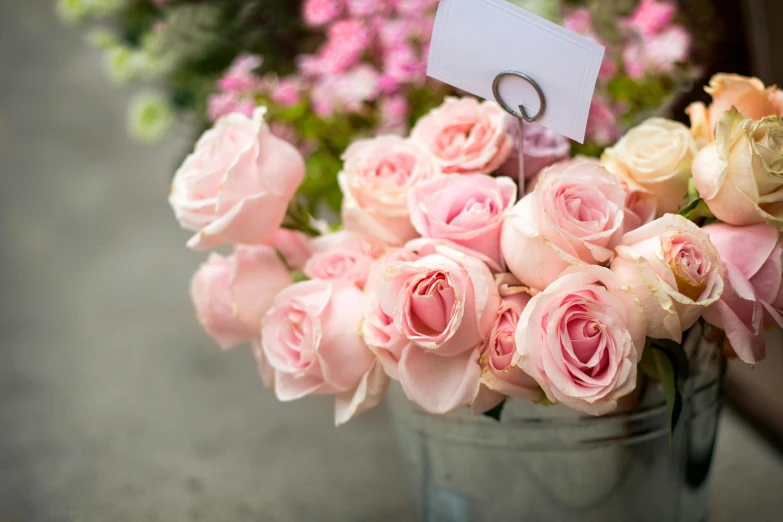 a bucket filled with lots of pink roses, muted pastels, zoomed in, al fresco, uncropped