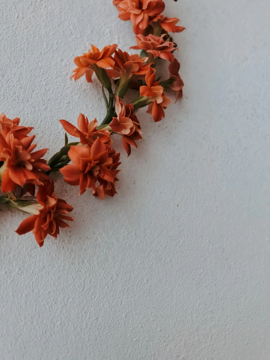 a close up of a bunch of flowers on a wall, by Carey Morris, trending on unsplash, orange halo, very minimalistic, like a crown, profile image