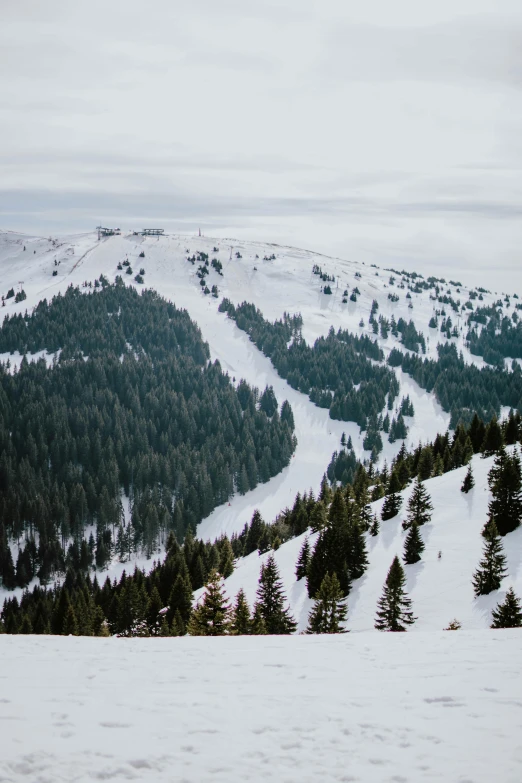 a man riding a snowboard down a snow covered slope, by Anna Haifisch, pexels contest winner, trees. wide view, cypresses and hills, “ aerial view of a mountain, sitting