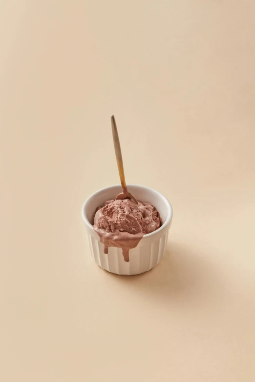 a cup of ice cream with a spoon sticking out of it, product image, muted brown, blushing, petite