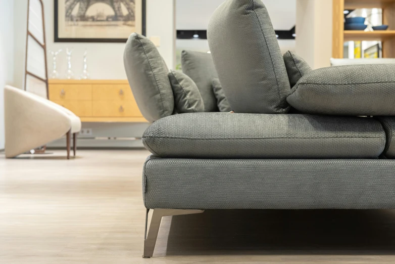 a grey couch sitting on top of a hard wood floor, a picture, furniture and decor, zoomed in, close angle