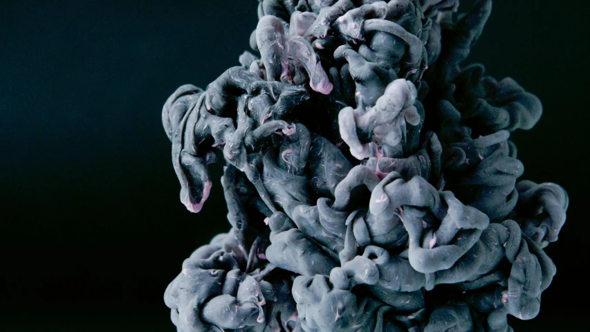a close up of a blue substance on a black background, a microscopic photo, unsplash, generative art, grey porcelain sculpture, chelate appendages, nadav kander, excitement