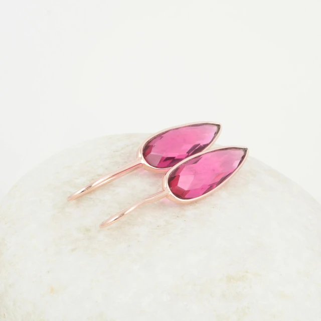 a pair of pink earrings sitting on top of a rock, birds eye view, garnet, long pointy ears, set against a white background