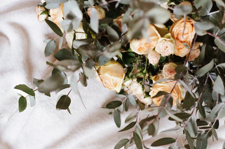 a close up of a bouquet of flowers on a bed, by Robbie Trevino, trending on unsplash, romanticism, overhanging branches, gold and white robes, manuka, portal made of roses