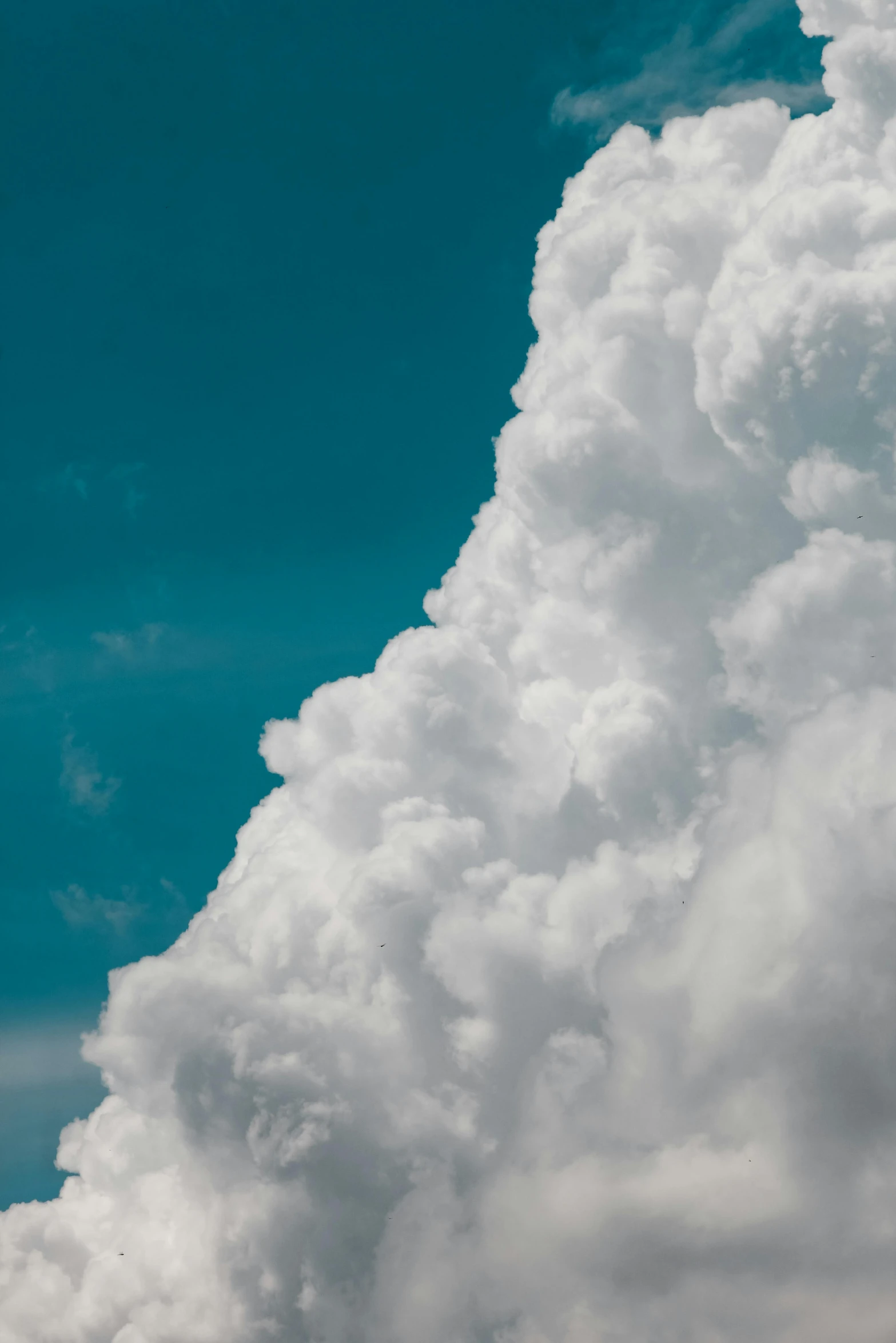 a jetliner flying through a cloudy blue sky, by Daniel Seghers, unsplash, aestheticism, giant cumulonimbus cloud, a green, medium closeup, 4k)