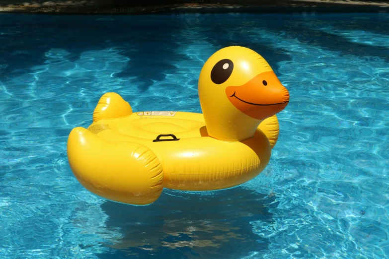 a yellow rubber duck floating in a pool, professionally assembled, in the sun, doran, medium