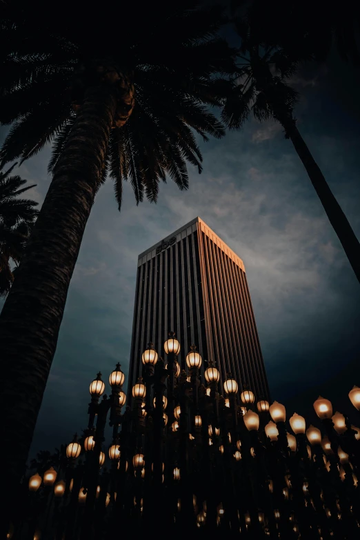 a tall building surrounded by palm trees at night, an album cover, unsplash contest winner, renaissance, capital plaza, california;, light and dark, golden towers