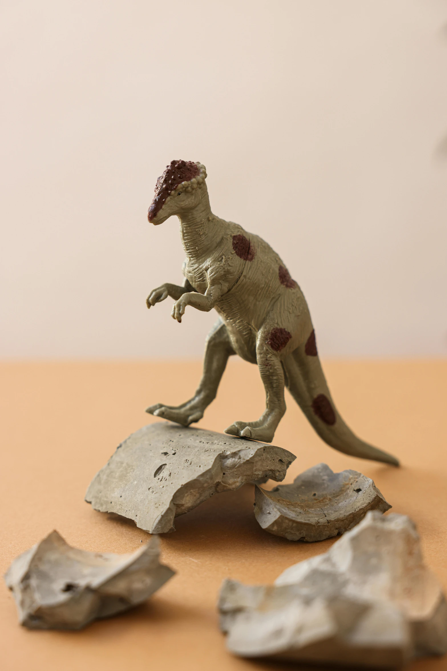 a toy dinosaur standing on top of a rock, inspired by Adam Rex, concrete art, textured base ; product photos, occasional small rubble, clay animation, at home