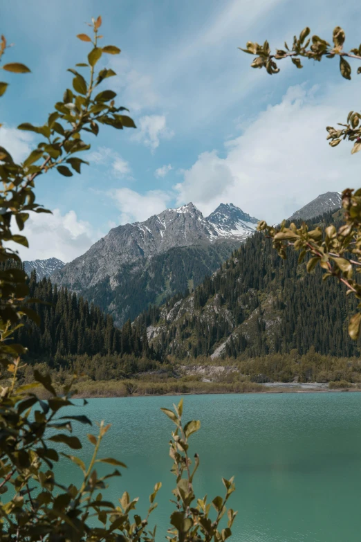 a body of water surrounded by trees and mountains, a picture, by Julia Pishtar, hurufiyya, kazakh, high quality image, vacation photo, alp