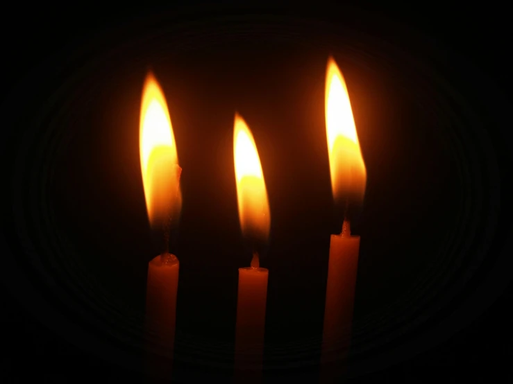 three lit candles on a plate in the dark, an album cover, profile image, hires, volumetric lighting octane, viral image