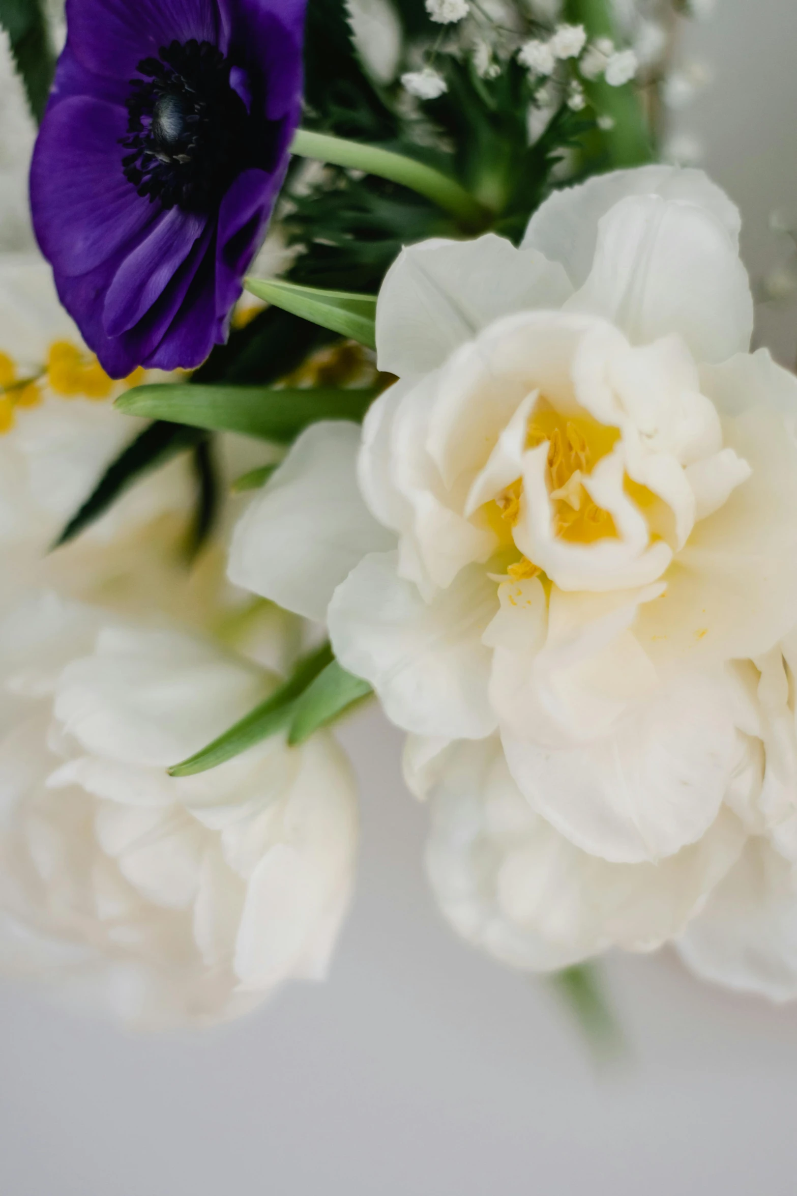 a bouquet of white and purple flowers on a table, zoomed in, daffodils, full product shot, detail shot