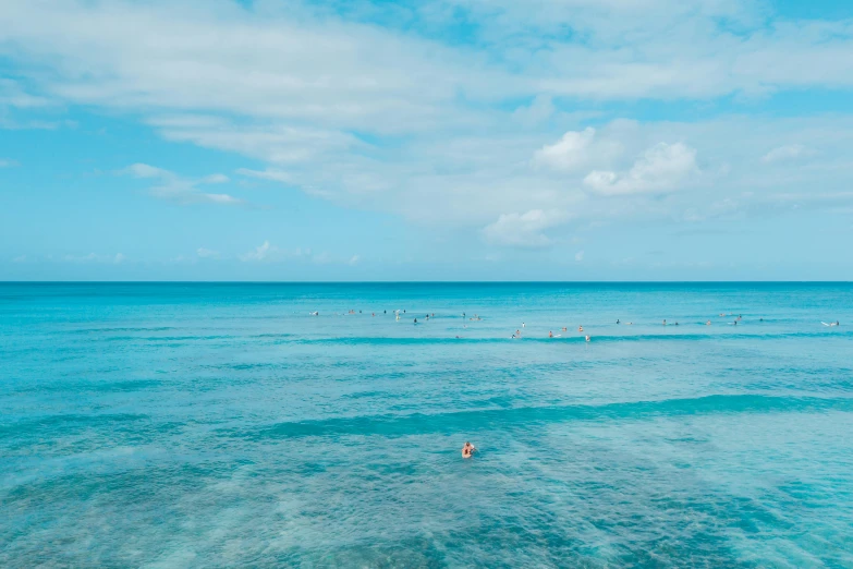 a group of people swimming in the ocean, by Carey Morris, pexels contest winner, minimalism, okinawa japan, warm shades of blue, waikiki beach skyline, coral reef