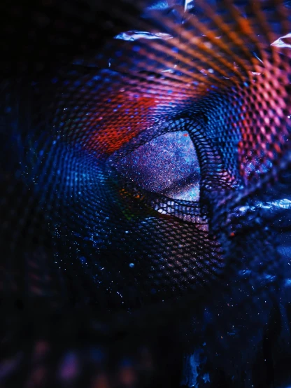 a close up of a fish in a fish net, an album cover, by Adam Marczyński, unsplash contest winner, holography, red and blue black light, chaotic cinematic space rift, the tesseract, portrait shot 8 k