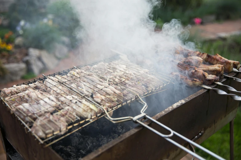 a close up of a grill with smoke coming out of it, by Joe Bowler, pexels contest winner, renaissance, kebab, gardening, chicken, split near the left