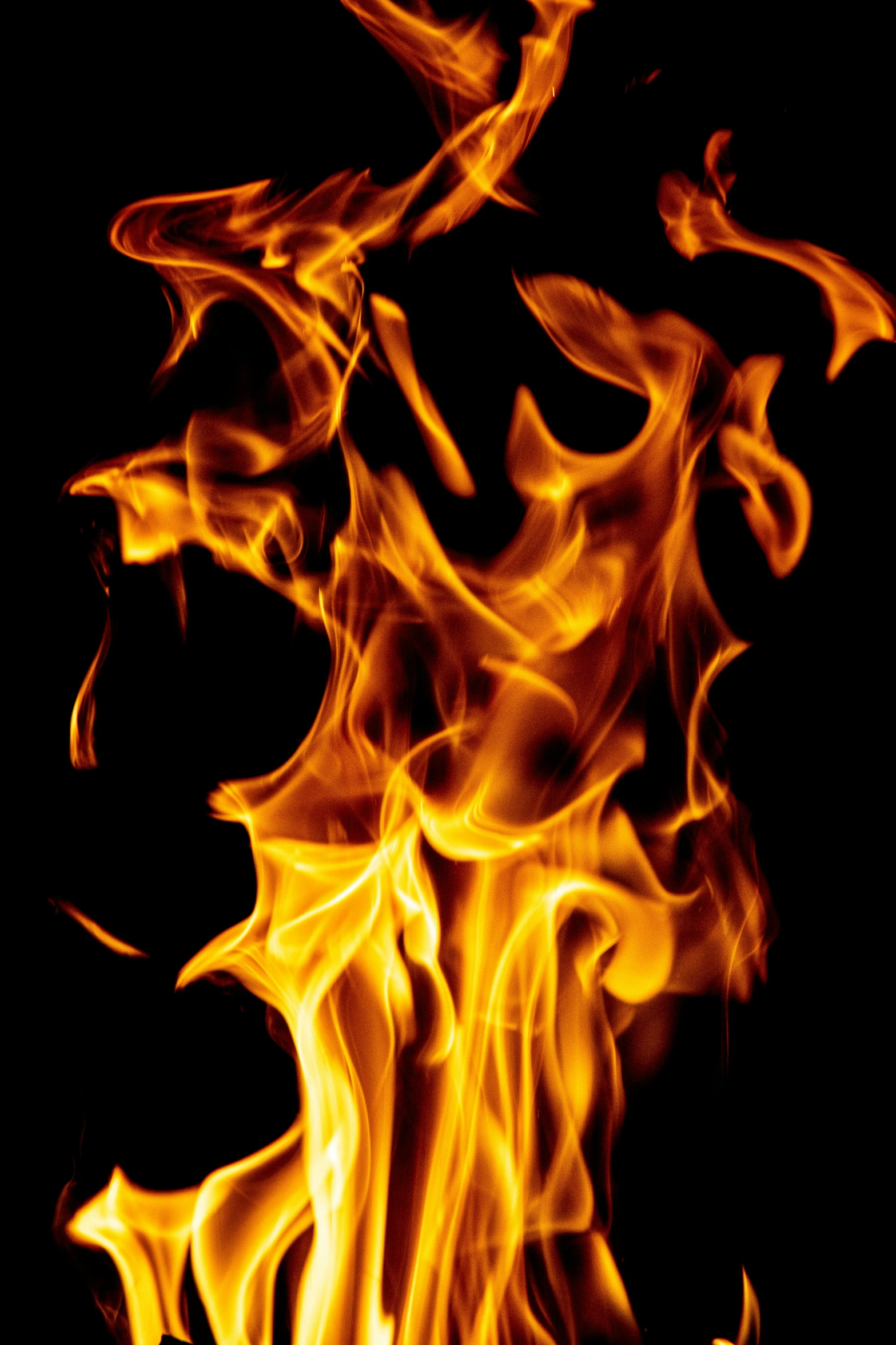 a close up of a fire on a black background, by Jan Rustem, stockphoto