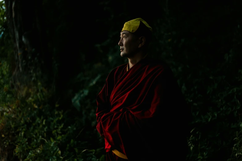 a man wearing a red robe and a yellow hat, a portrait, inspired by Huang Shen, unsplash, standing in a dark forest, bhutan, avatar image