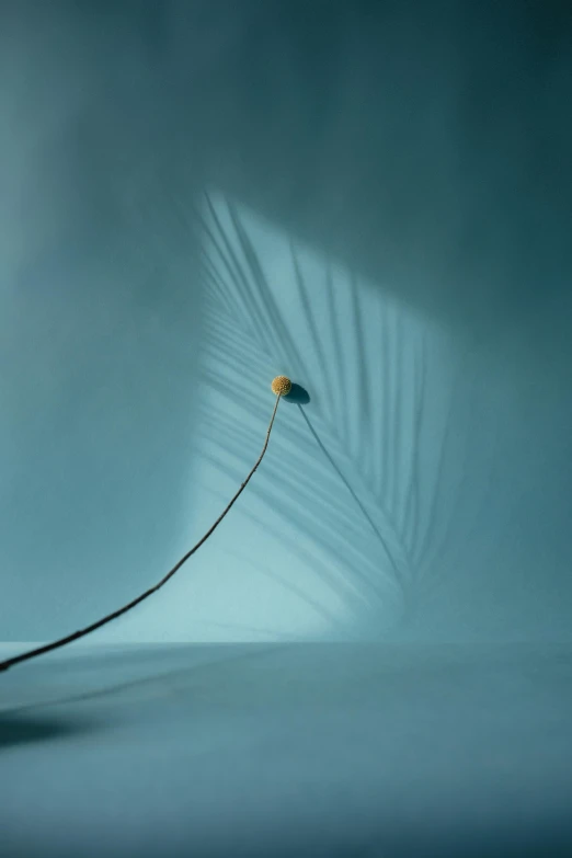 a lamp sitting on top of a table next to a wall, by Alison Geissler, unsplash contest winner, conceptual art, soft feather, depicting a flower, photographed for reuters, blue