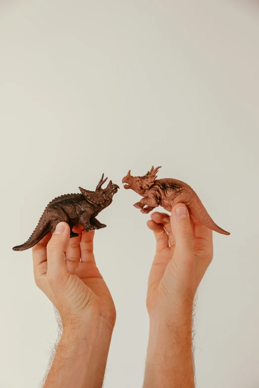 a person holding two toy dinosaurs in their hands, by Jessie Algie, trending on unsplash, hand carved brown resin, triceratops, facing each other, flatlay