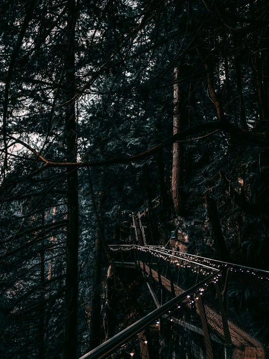 a wooden walkway in the middle of a forest, inspired by Elsa Bleda, unsplash contest winner, very dark lighting, shining lights on cliff side, connected with hanging bridge!!, moody aesthetic