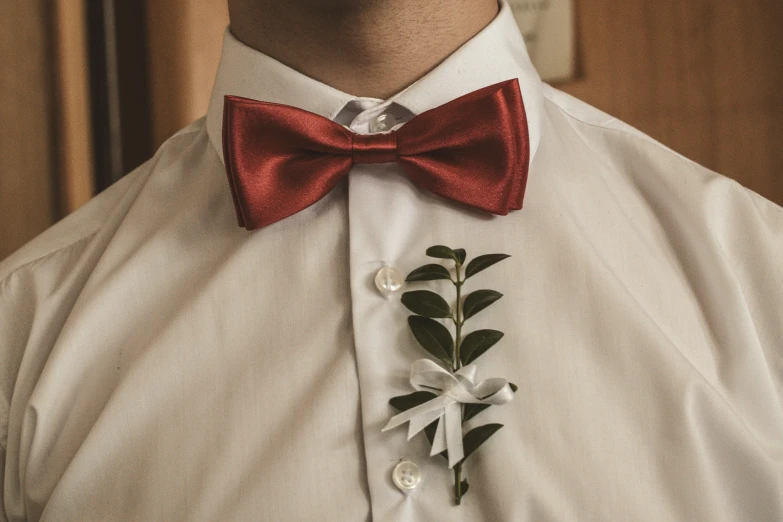 a man wearing a white shirt and a red bow tie, trending on pexels, eucalyptus, silver，ivory, holy themed, rosette