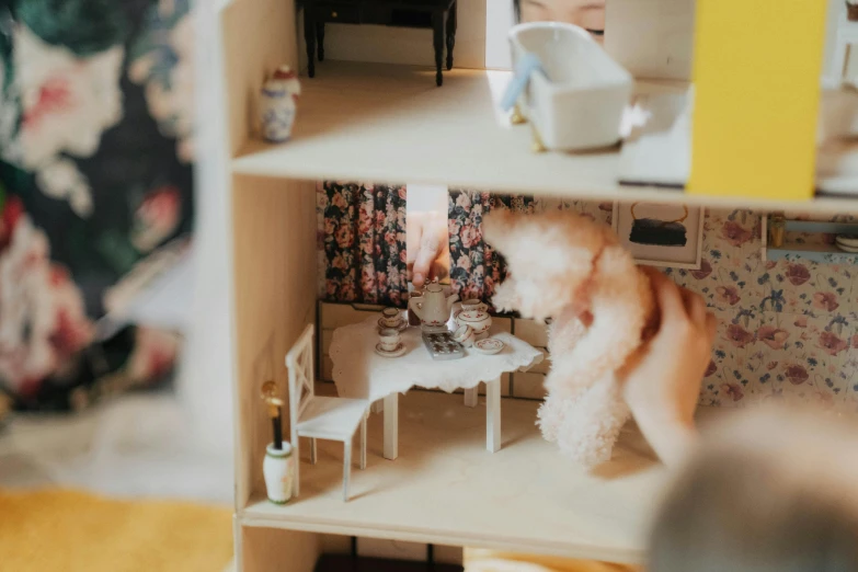a dog that is inside of a doll house, by Emma Andijewska, pexels contest winner, rococo, [ overhead view of a table ]!!, tiny details, section model, middle of the page