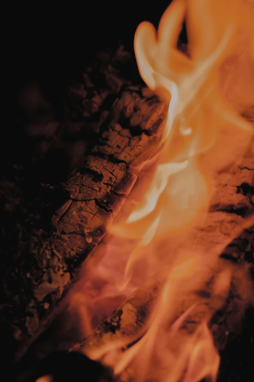 a close up of a fire in a fireplace, an album cover, by Jacob Toorenvliet, bark, warm coloured, camp, dynamic closeup