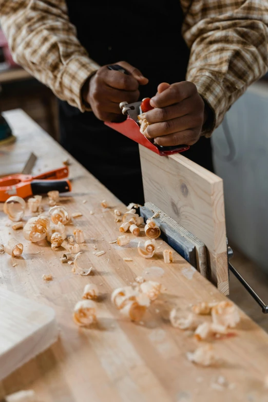 a man working on a piece of wood with a planer, a cartoon, by Andries Stock, trending on pexels, arts and crafts movement, made of mushrooms, hands on counter, a wooden, the best