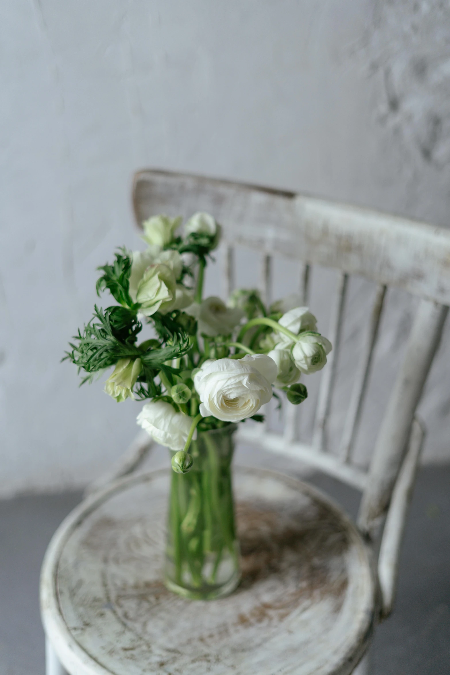 a vase filled with white flowers sitting on top of a wooden chair, inspired by Constantin Hansen, unsplash, light greens and whites, anemones, three quarter shot, small