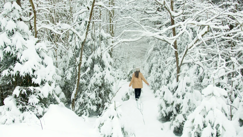 a woman riding skis down a snow covered slope, a photo, inspired by Edward Willis Redfield, walking through a lush forest, william penn state forest, promo image, cottagecore