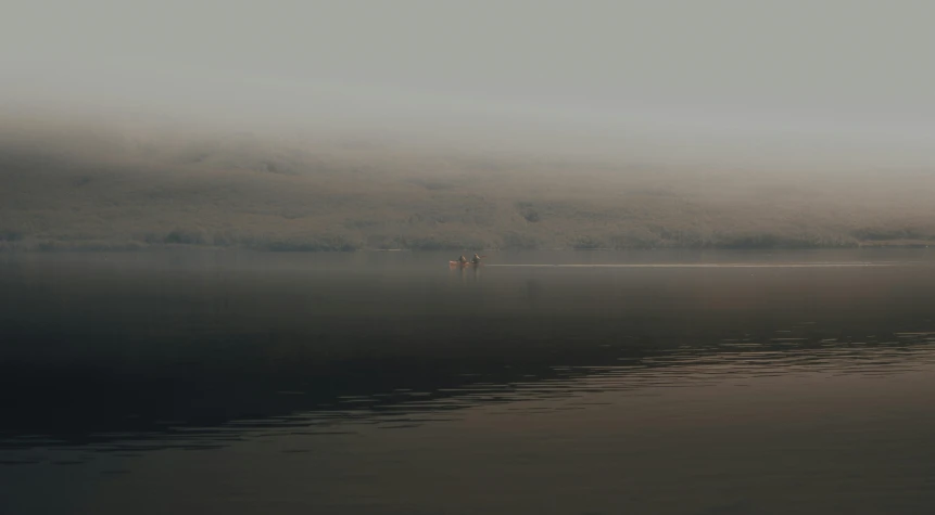 a couple of cows standing on top of a lake, pexels contest winner, minimalism, brown mist, loch ness monster, grey, first light