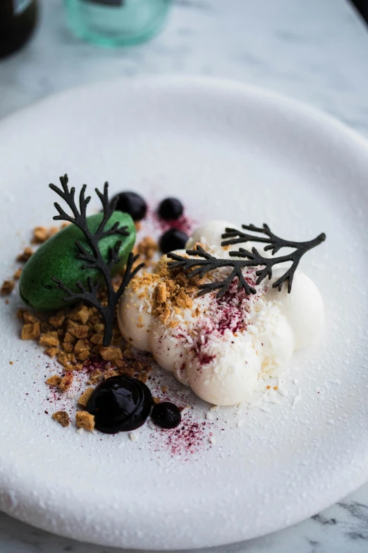 a close up of a plate of food on a table, inspired by Frederik Vermehren, ice cream on the side, blueberry, green, manuka