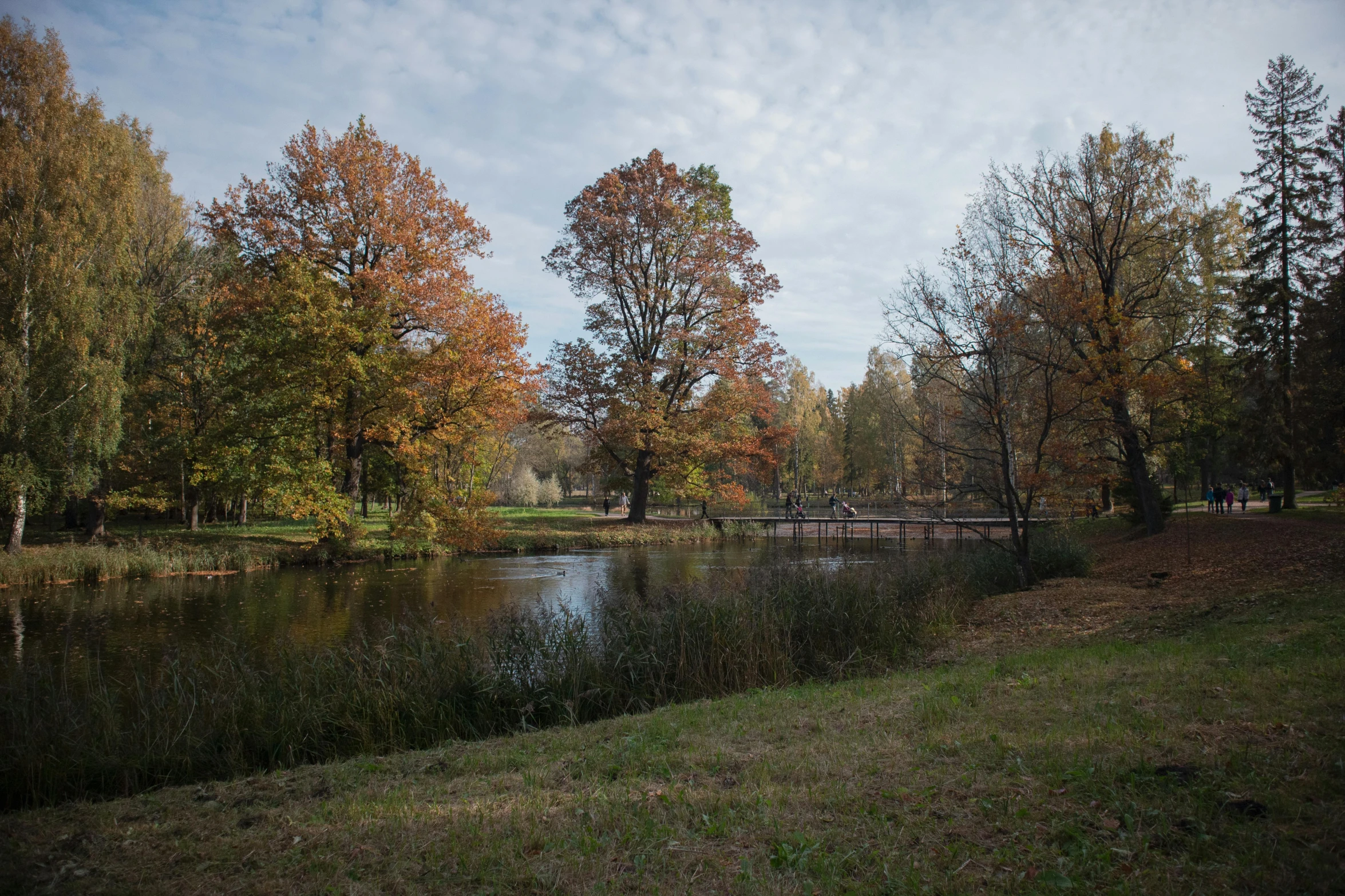 a body of water surrounded by trees and grass, a picture, inspired by Konstantin Vasilyev, pexels contest winner, grassy autumn park outdoor, medium format. soft light, 15081959 21121991 01012000 4k, in legnica