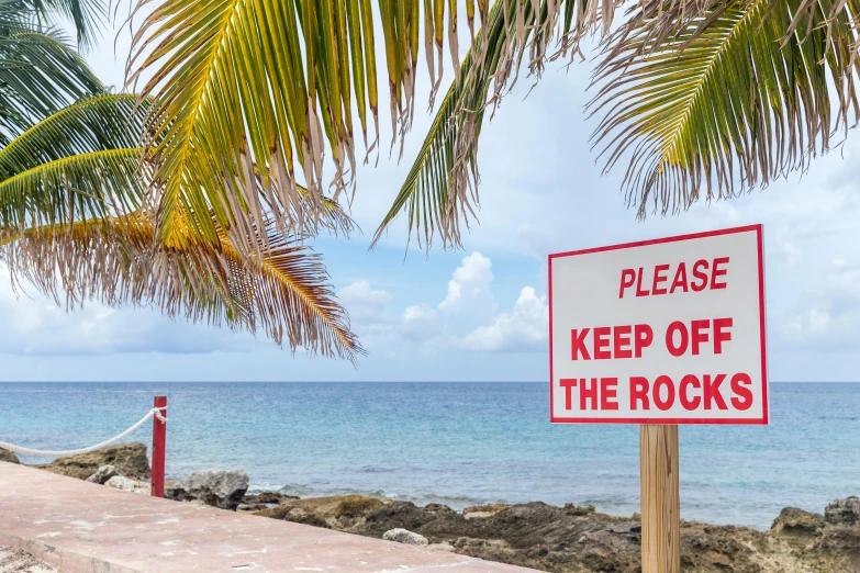 a sign that says please keep off the rocks, a photo, pexels, tropical reef, a palm tree, ((rocks)), 1 6 x 1 6