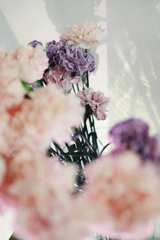 a vase filled with pink and purple flowers, unsplash, romanticism, mirrors, carnation, dreamy hazy, shot on sony a 7