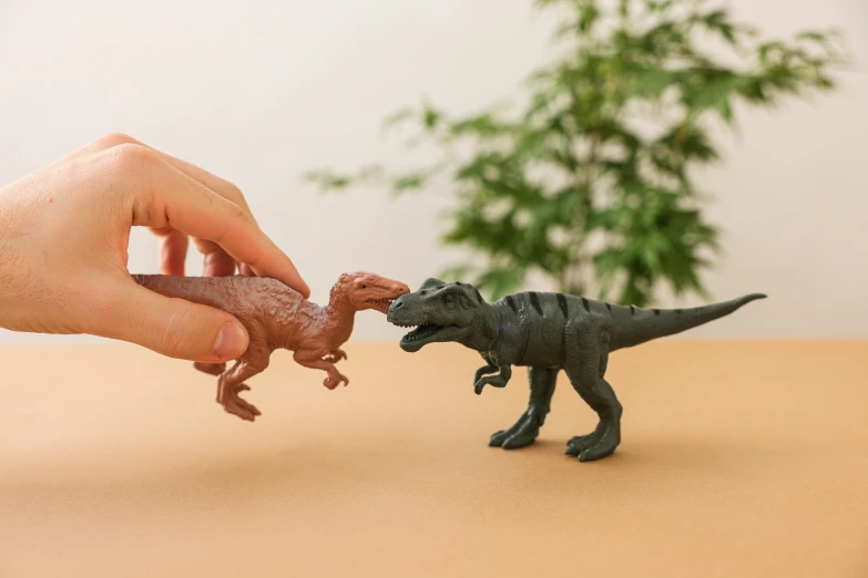 a close up of a person holding a toy dinosaur, inspired by Adam Rex, fighting each other, grey, mini model, product shot