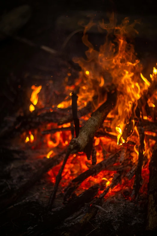 a close up of a fire in the dark, an album cover, pexels, bright orange camp fire, braziers, a wooden, burning overgrowth