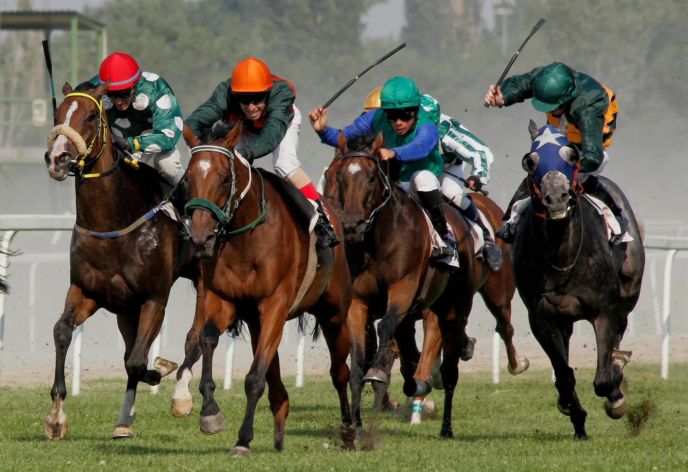 a group of men riding on the backs of horses, a digital rendering, pexels contest winner, in a race competition, a green, cover shot, halfing