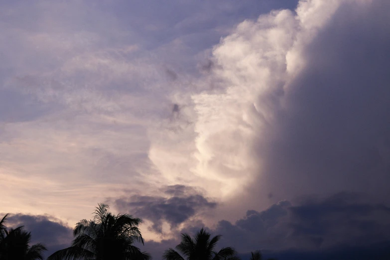 a cloudy sky with palm trees in the foreground, unsplash, romanticism, thunderstorm supercell, soft lilac skies, early evening, multiple stories