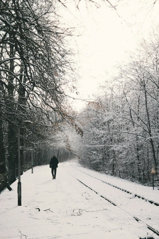 a person walking down a snow covered road, berlin park, instagram picture, chemistry, background image