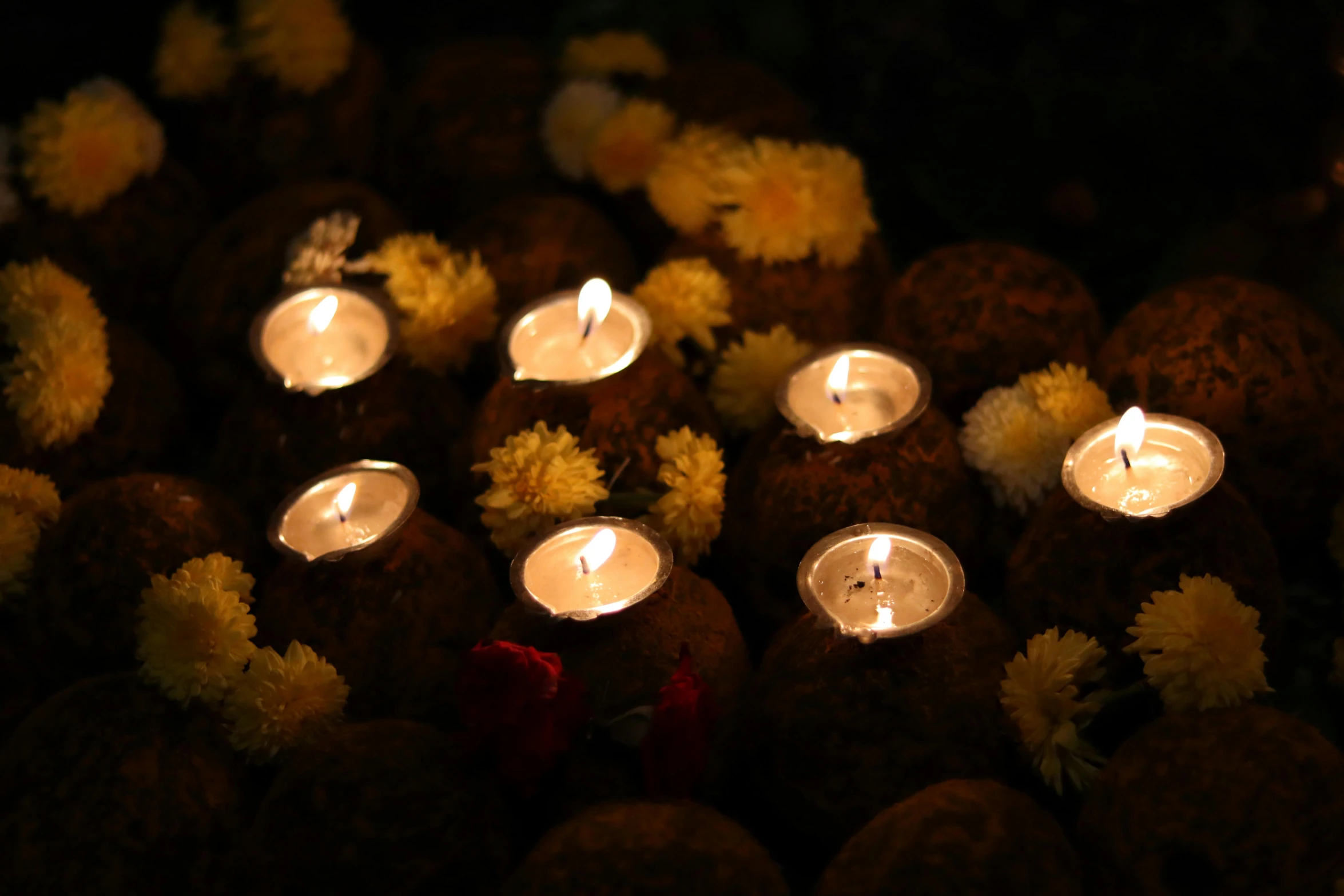 a group of lit candles surrounded by flowers, coconuts, profile image, traditional, lights off