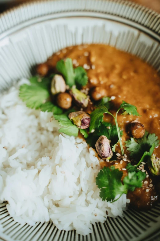 a close up of a bowl of food with rice, inspired by Kamagurka, unsplash, hurufiyya, nut, brown gravy, polka dot, thumbnail
