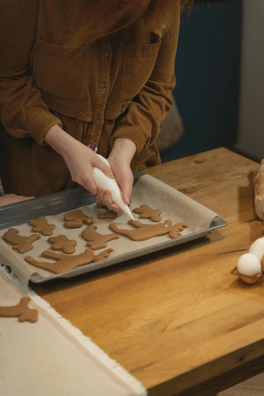 a woman is making ginger cookies on a cookie sheet, a cartoon, by Jessie Algie, pexels, square, claymation, holiday, animals