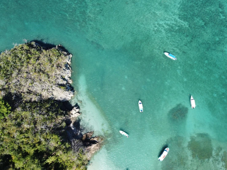 a group of boats floating on top of a body of water, a screenshot, pexels contest winner, abel tasman, caribbean, flat lay, lush surroundings