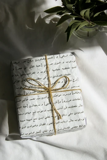 a wrapped gift sitting on top of a bed next to a plant, by Maryam Hashemi, hurufiyya, old script, 2 5 6 x 2 5 6, white hijab, hay