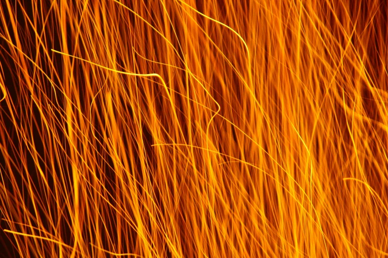 a close up of a bunch of long grass, by Jan Rustem, pexels, lyrical abstraction, arcs of fiery neon light, fire texture, orange electricity, fine structure texture