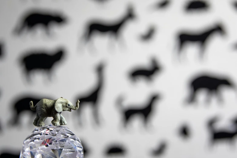 an elephant figurine sitting on top of a crystal ball, by Adam Pijnacker, photographed for reuters, patterned, wall paper, 1/400